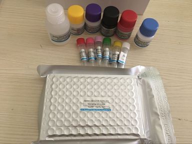 QQ图片20170622104729.jpg